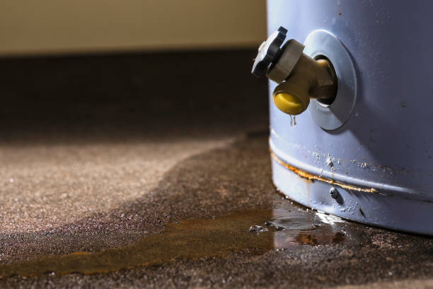 Best Carpet water damage restoration  in Pearson, GA