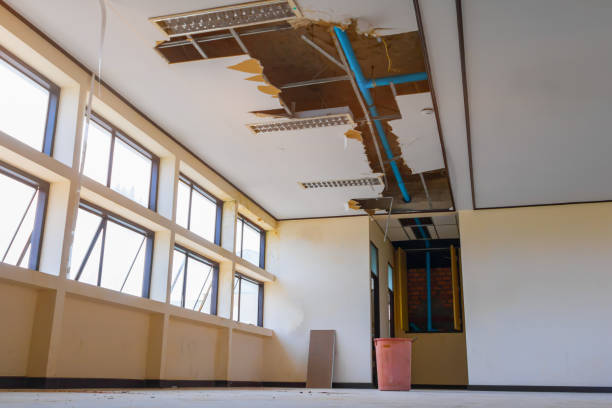 Best Ceiling water damage repair  in Pearson, GA