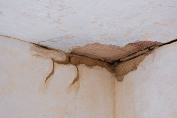 Best 24-hour water damage restoration  in Pearson, GA