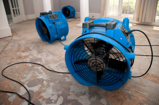 Best 24/7 water damage repair  in Pearson, GA