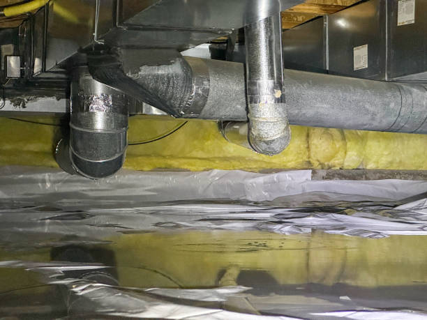 Best 24/7 water damage repair  in Pearson, GA
