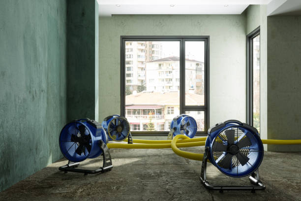 Best 24-hour water damage restoration  in Pearson, GA